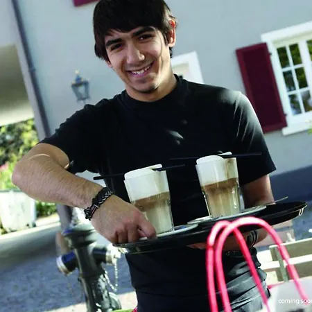 Hotel Ox Altes Spital Mullheim (Baden-Wurttemberg)