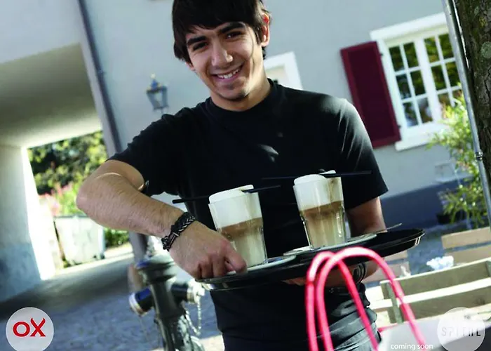 Hotel Ox Altes Spital Mullheim (Baden-Wurttemberg)